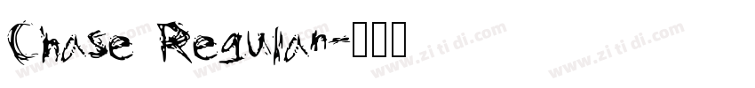Chase Regular字体转换